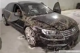 男子买15万泡水辉腾，别人都说亏，拆开一看比中彩票还高兴图片