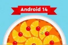 谷歌安卓14有望引入可升级的根证书机制图片