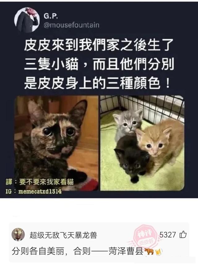 媳妇出差发来照片，这下真的绿了，实锤了兄弟挺住啊，哈哈哈