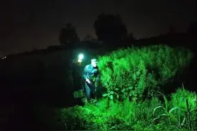 2015年，河北山村出现诡异生物，村民上山围剿失败，隔天发疯跳楼图片