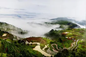 妻子意外去世，我把岳母当亲妈照顾，那天我帮岳母干活，她哭了图片