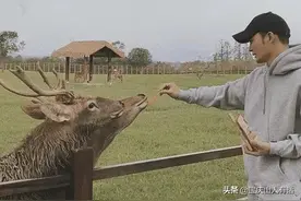 矛头指向朱舅舅，宋祖德这次弄错了吗？图片