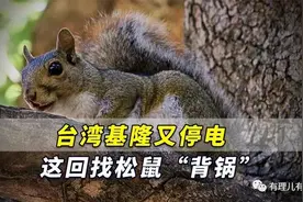 用爱发电=用肺发电，台湾停电的背后真相图片