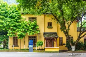 老祖宗说“三树不能砍，砍了财气散”，指的是哪3种树不能砍？图片