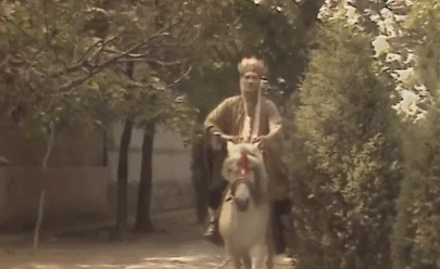 36年过去，再看《西游记》这12大幕后：神仙演员的来头都很大