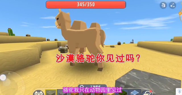 迷你世界打入国际！版本1.0还有沙漠骆驼，画质让MC玩家沉默了