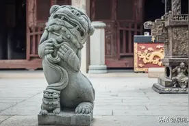 解读狮子文化艺术图片