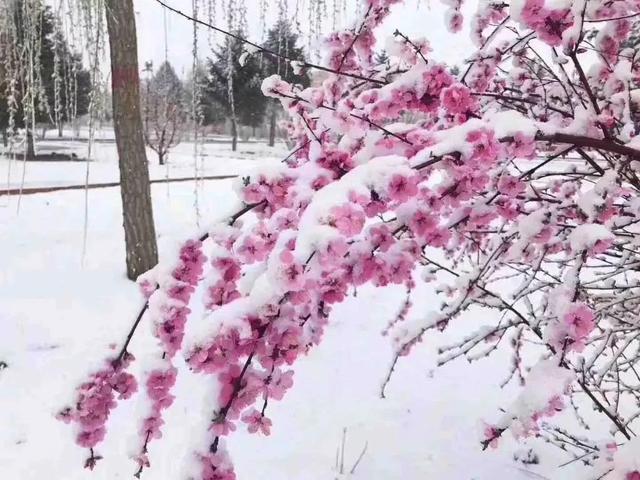 6���ʺ�С����ҵ������