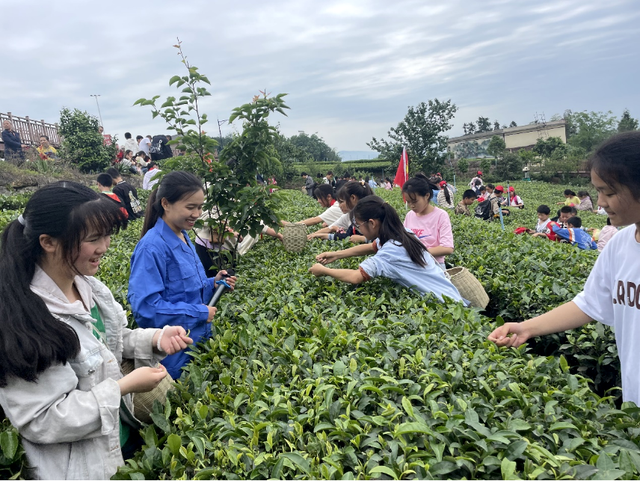 四川省民生研究会新媒体中心-官网