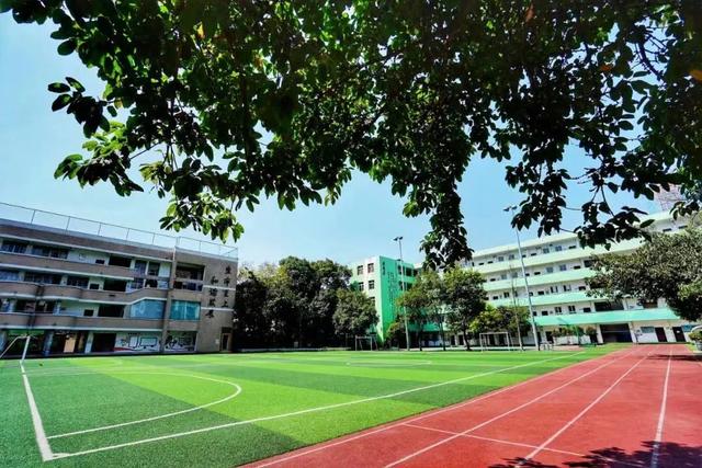 除了“五朵金花”，成都各个区还有哪些公办小学值得考察