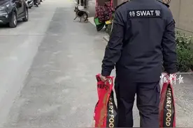 【#特警与退役警犬重逢画面感人#】图片