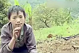 广西14岁杨六斤获500万善款内情：独居生活仅25天，野草当地常吃图片