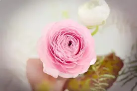 讨厌一个人，最高级的处理方式图片