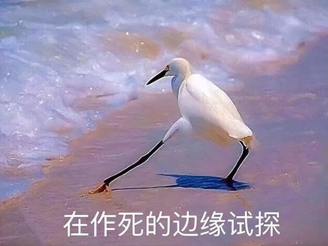 2022年停运最多的竟是腾讯？停运近30款游戏，亿级老游戏也得凉！