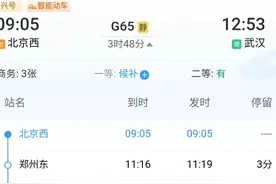 那些只停省会城市的高铁标杆车次-高铁出行的第一选择图片