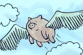 突发奇想的小猪图片