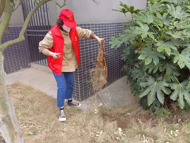 四川省民生研究会新媒体中心-官网