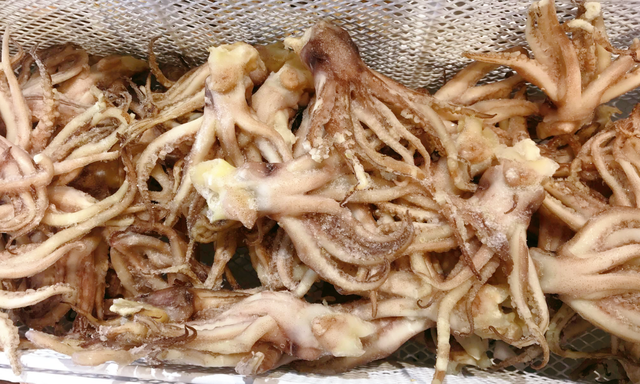 冬天少吃猪肉多吃八爪鱼，比鱼肉便宜，比牛羊肉鲜，随手一炒真香