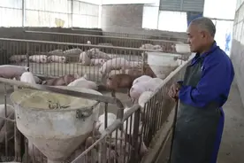 耕地不能种树、养殖，却能盖楼、建厂？3点让你明白，处罚更严重图片