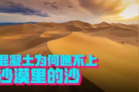 不要钱的沙子，不香吗？为什么混凝土就是要摆着沙漠里的沙子不用图片