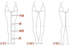 板绘如何画出漂亮的腿图片