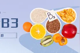 维生素B3（烟酸）与肠道菌群图片