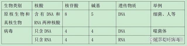 高中生物-基因的本质与表达