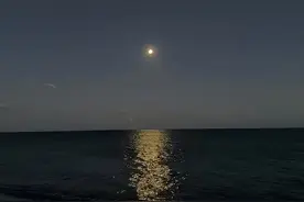 句句不提爱，却句句都是爱。一起来看下这些爱意满满的经典文案吧图片