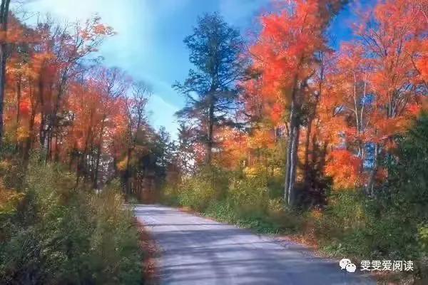 生活压力日益增长,工作滋长胡思乱想,告诫自己缓解压力方法多