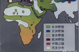 世界上最早的猫奴，古埃及人为什么崇拜猫？图片
