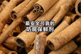 世界上很安全可靠的食品防腐保鲜剂：肉桂酸钾图片