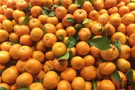 没人会告诉你“激素橘子”长啥样，教你1秒识别，记得告诉家人图片