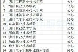 搞事情！“后缀”职业技术学院、高等专科学校、职业大学，咋分？图片