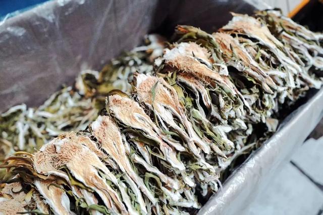 花胶响螺片海龙煲汤的做法大全 花胶响螺汤的功效