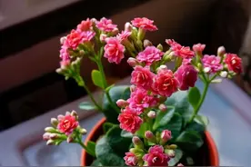 古人对20岁~120岁的别称图片