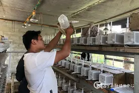 昌宁翁堵：小伙闯出“蜂”狂致富路图片