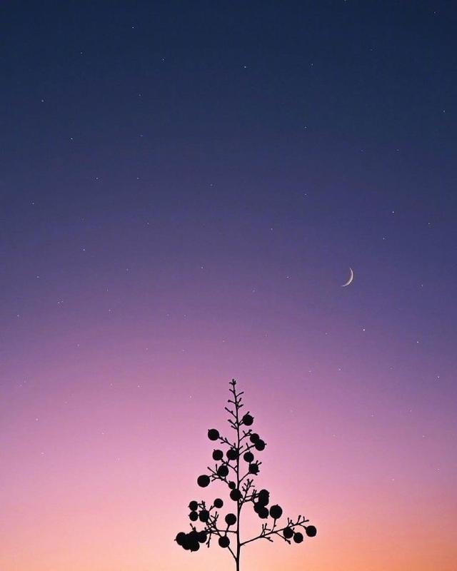 Ȧİӣ׾Թ϶ת˲件ЦȻɳ
