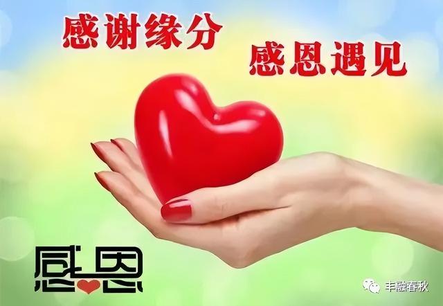 一句句感谢温暖人心 - 冷求网