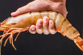 12种海虾“简单易记”的区分方法，你都吃过几种？附吃法，请收藏图片