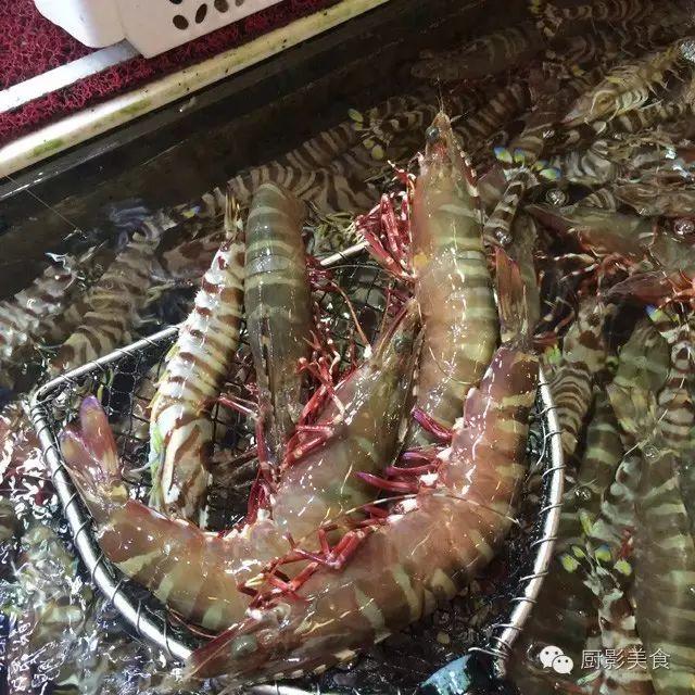 花胶选几级的 花胶等级顺序鱼胶排名大全