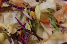 女子称在沙拉中吃出活蚯蚓，还在蠕动，饭店回应：对方索赔2千，连云港这个季节没蚯蚓图片