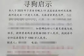 “悬赏1000万元”寻狗，最后给了5000元，法律怎么看？图片