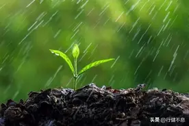 天街小雨润如酥：六首经典之作，品味诗意的春雨图片