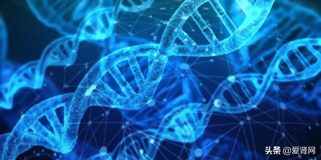 低磷血症会出现鸡皮肤吗