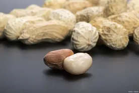 吃了发霉的东西怎么办图片