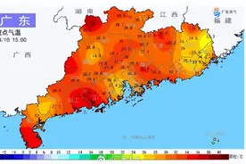 四级飓风“多拉”或成今年第8号台风！接下来湛江天气…图片