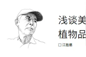 浅谈美国植物品种保护方式 | 视点·植物和声图片