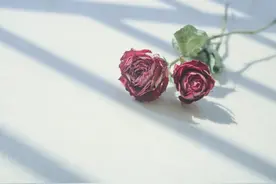 男人其实是不会忘记旧爱的图片