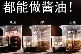 头发也能做酱油？走火入魔的“土法”制酱油，让央视记者都反胃图片