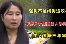 两恶犬不拴绳追咬孩子，妈妈护子惨遭暴打！狗主人喜提三年牢饭图片